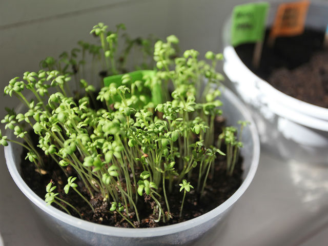 Itt a tavasz, indul a Nők Lapja Café Kert!