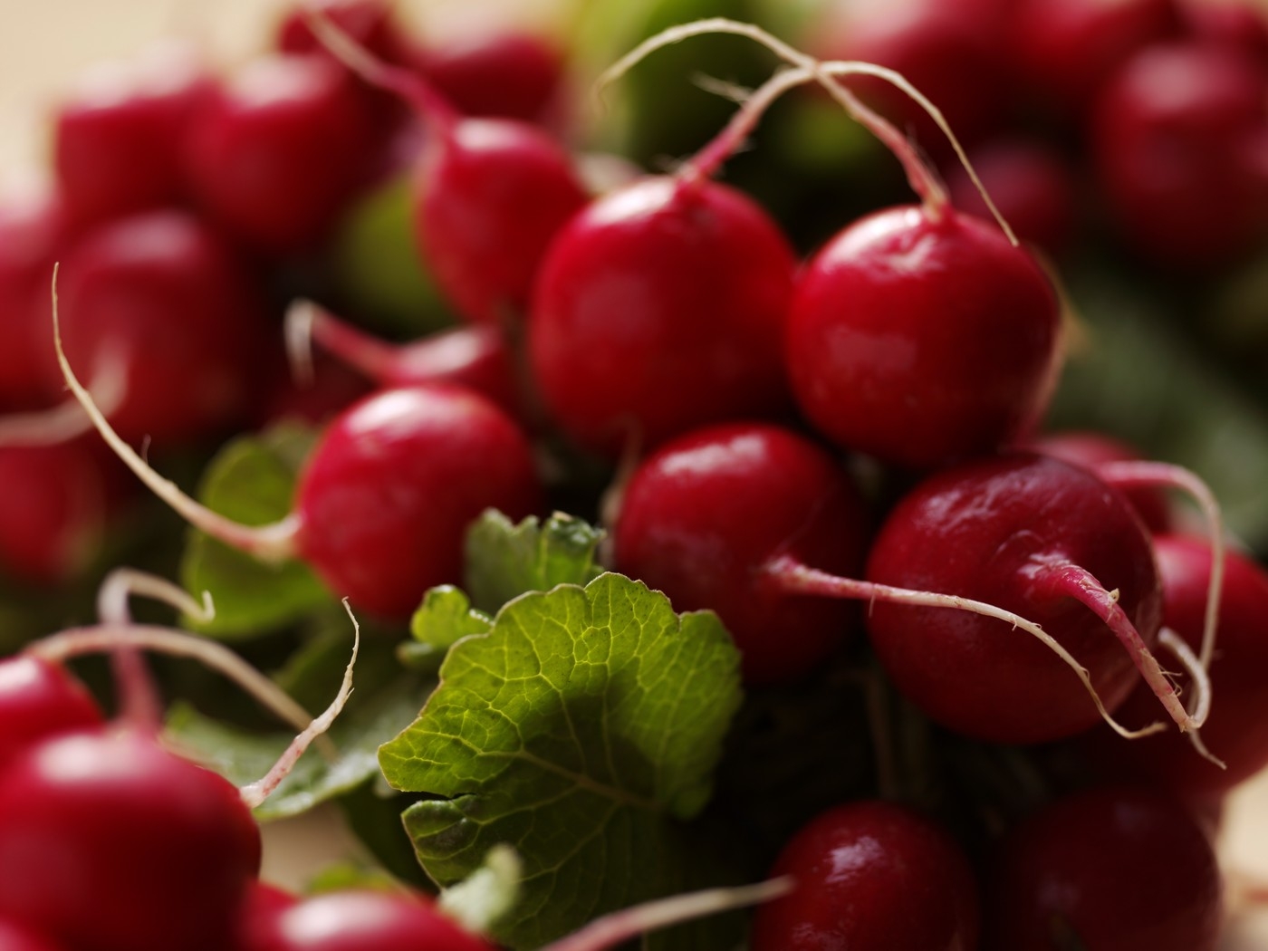 Szezonális - 3 recept retekkel