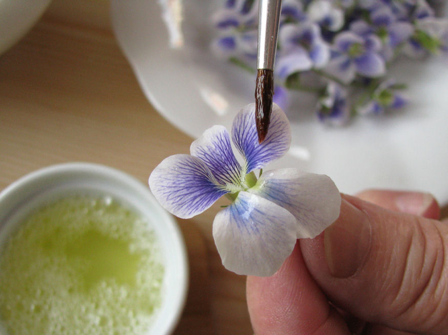 Ehető virág: fotókon az ibolya kandírozása Ehető virág: fotókon az ibolya kandírozása