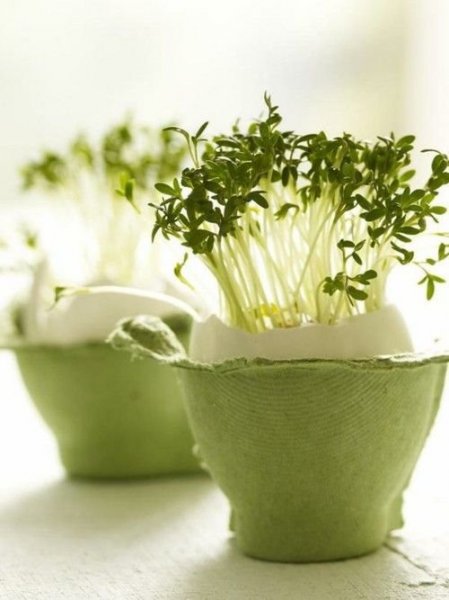 Erre is jó a tojástartó! Erre is jó a tojástartó!