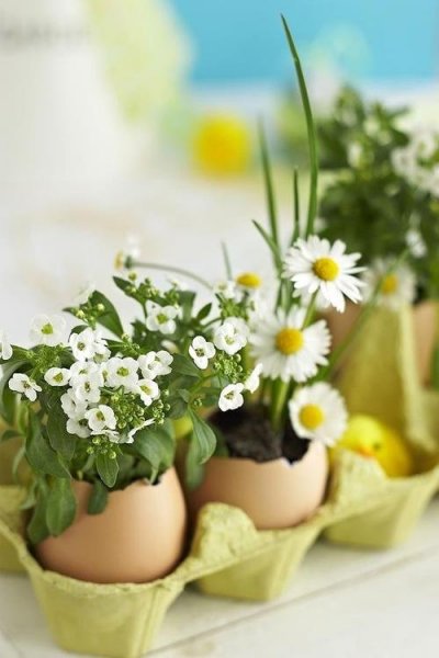 Erre is jó a tojástartó! Erre is jó a tojástartó!