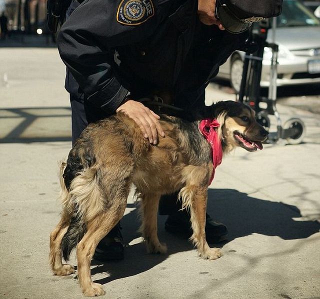 Forrás: dailymail.co.uk/