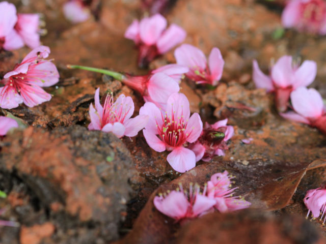 Hétfőn vége a napos, tavaszi időnek