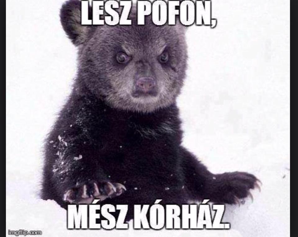 Majka visszaszólt Zimány Linda Dundikát alázó barátjának Majka visszaszólt Zimány Linda Dundikát alázó barátjának