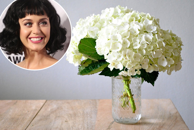 Ami a kulisszák mögött van: őrült sztárallűrök