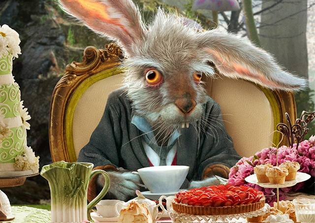 Kedvenc nyulaink, avagy csipetnyi nyúlológia 