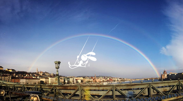 Kedvenc nyulaink, avagy csipetnyi nyúlológia 