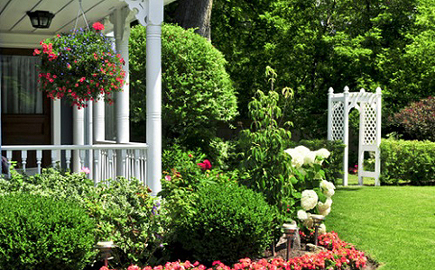 Kattintsunk a kertünk egészségére! Kattintsunk a kertünk egészségére!