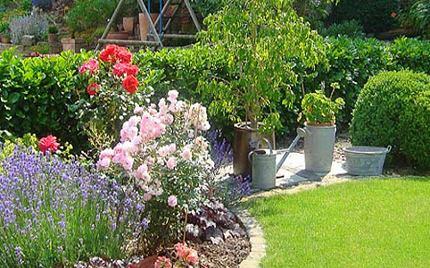 Kattintsunk a kertünk egészségére! Kattintsunk a kertünk egészségére!