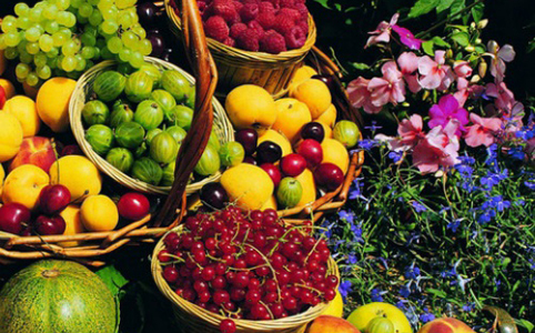 Kattintsunk a kertünk egészségére! Kattintsunk a kertünk egészségére!