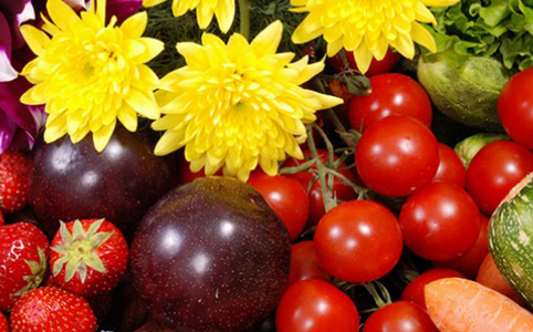 Kattintsunk a kertünk egészségére! Kattintsunk a kertünk egészségére!