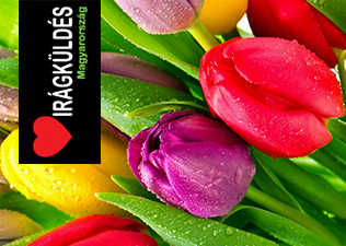 További fotókért kattints a képre! További fotókért kattints a képre!