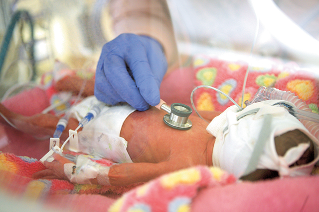 Koraszülöttek közt:  A fészek melege