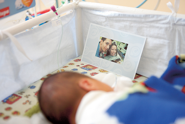 Koraszülöttek közt:  A fészek melege