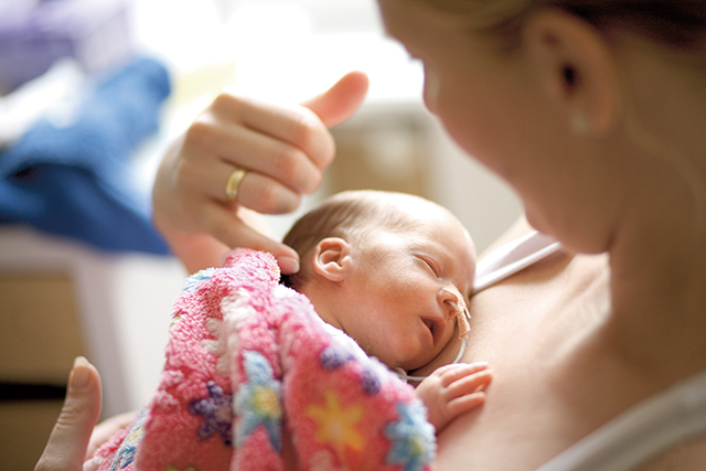 Koraszülöttek közt:  A fészek melege