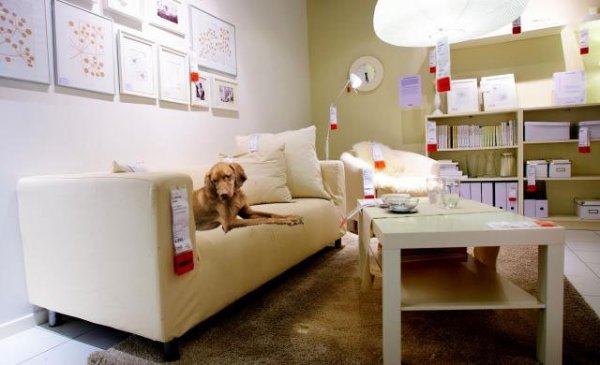 Ide kellene még beengedni a kutyákat - Demény megmondja!