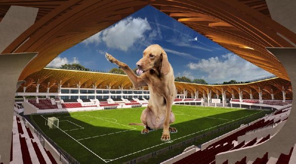 Ide kellene még beengedni a kutyákat - Demény megmondja!