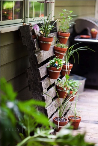 Nevelj fűszerkertet a teraszon!