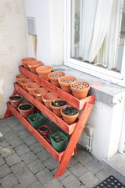 Nevelj fűszerkertet a teraszon!