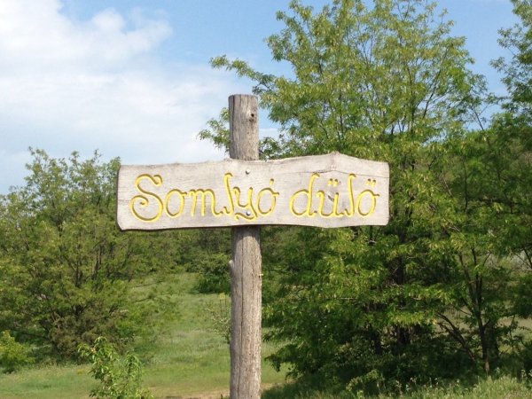 Somlyó-hegyi tanösvény