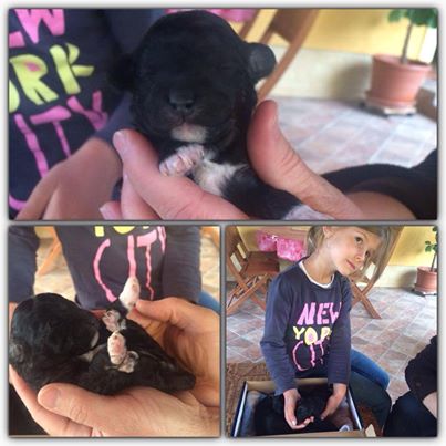 Fotó: Sarka Kata Facebook oldal Fotó: Sarka Kata Facebook oldal