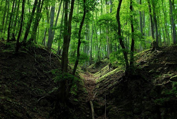 Gyönyörű képek a Rám-szakadékról