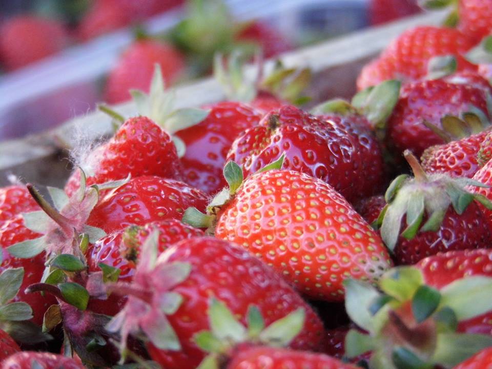 40 szuper recept eperrel és egy tuti programtipp  