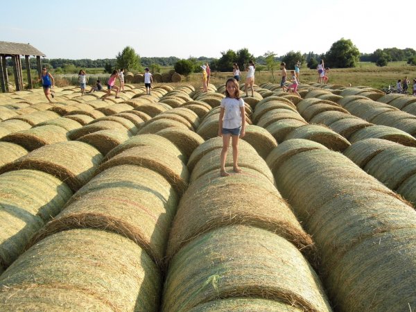 3 családi nyári tábor, amit imádni fogtok