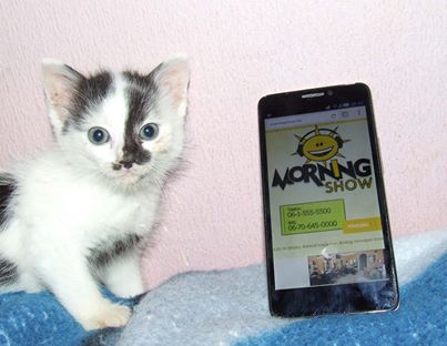 Fotó: Morning Show Facebook oldal