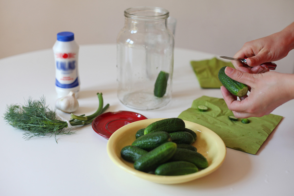 Kánikulateszt: beérik-e már a kovászos uborka?