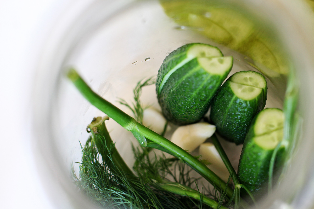 Kánikulateszt: beérik-e már a kovászos uborka?