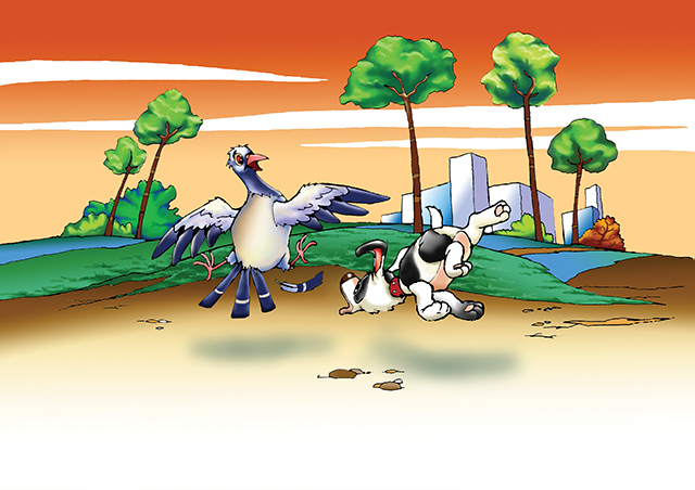 Napi mese: Galambkaland