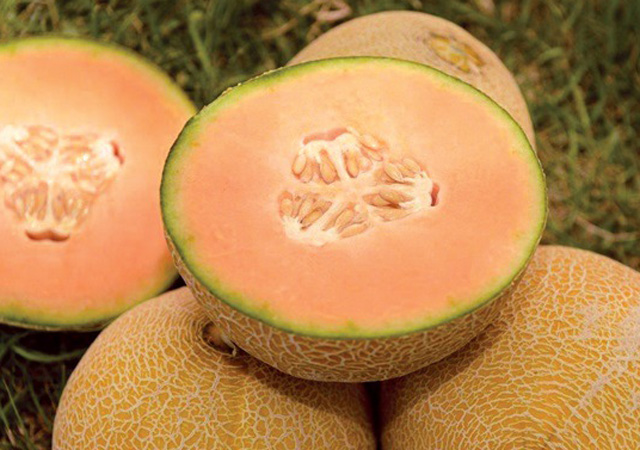 A Justin-dinnye különösen édes ízű - Forrás: israel21c.org