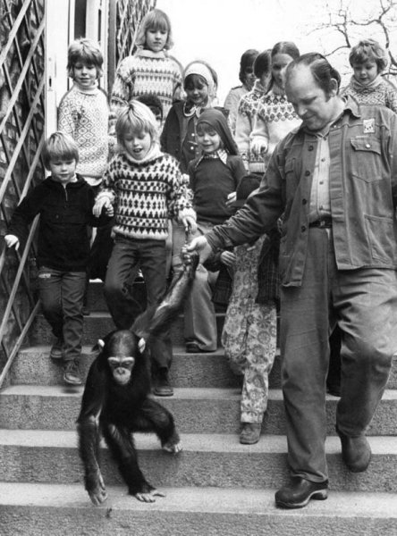 Állatkert 1955-ben - csodás, érdekes fotók