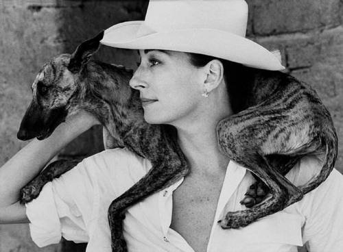 Képgyűjtemény a stílusról