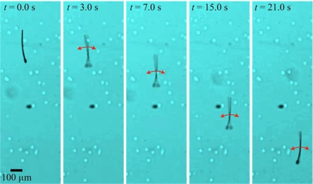 Úgy mozognak, akár az igaziak - Forrás: livescience.com