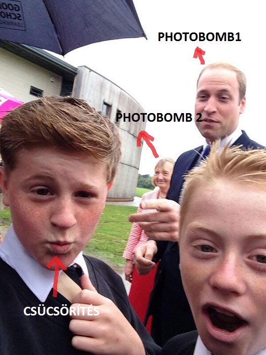 Megphotobombolták a photobomboló Vilmos herceget