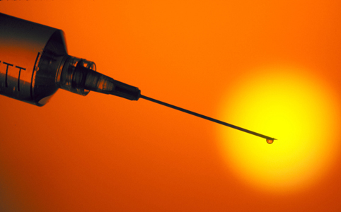 Biztonságban a paradicsomban Biztonságban a paradicsomban