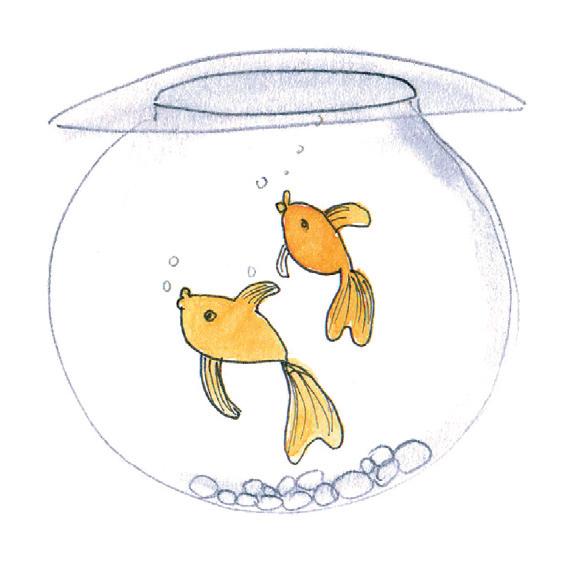 Napi mese: Nálatok laknak-e állatok?