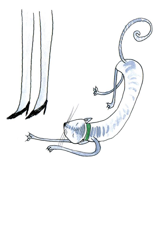 Napi mese: Nálatok laknak-e állatok?