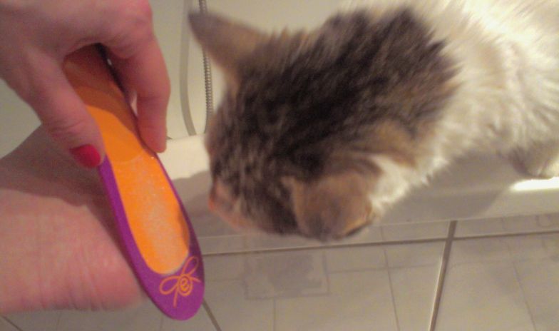 Teszteltük, melyik sarokreszelőt vedd idén