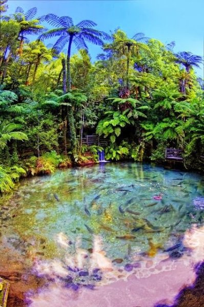 Egzotikus Új-Zéland