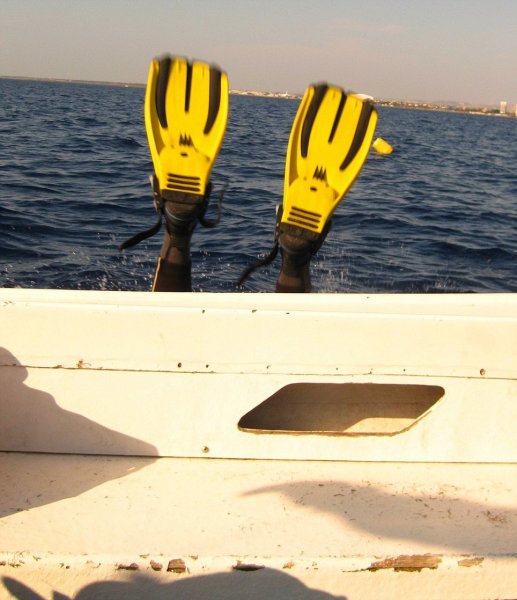 A legbénább nyári fotók-verseny győztesei A legbénább nyári fotók-verseny győztesei