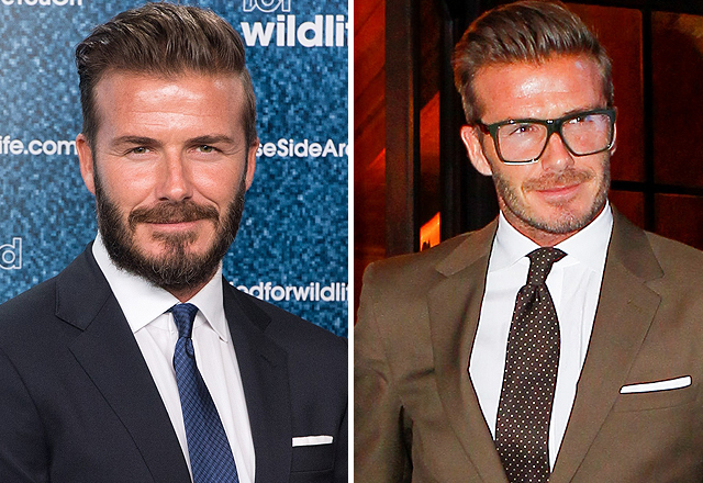 A 20 legnagyobb celeb kaméleon A 20 legnagyobb celeb kaméleon