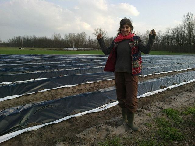 A gazdaasszony öröme