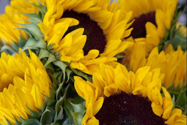 Megszakad a hetek óta tartó szárazság!