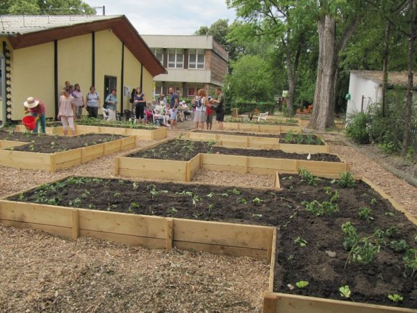 Megnyílt Szeged első közösségi kertje