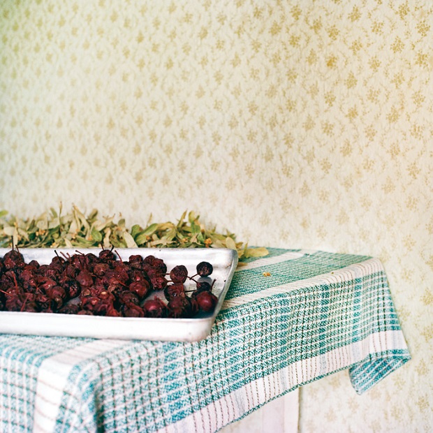 Így néznek ki az igazi konyhák a Balkánon Így néznek ki az igazi konyhák a Balkánon