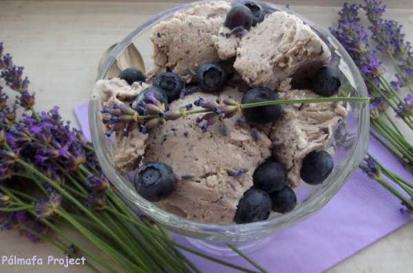 Krémsajtos fagyi nyugtató áfonyával