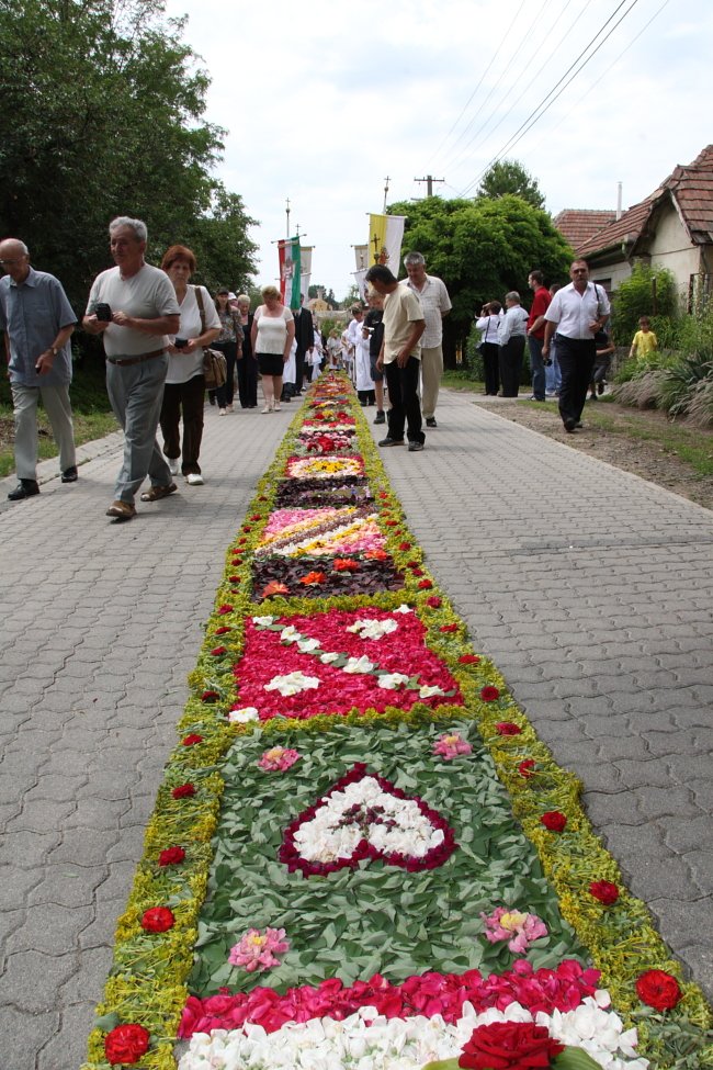 Virágszőnyeg Csömörön